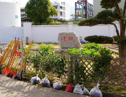 一樹(shù)一成長(zhǎng)，綠意滿(mǎn)佳境